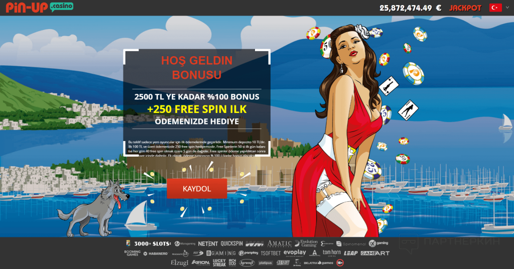 Resmi Site İnceleme